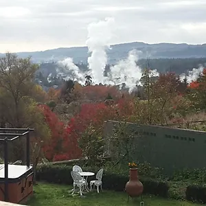 Geyser Lookout *** 罗托鲁阿